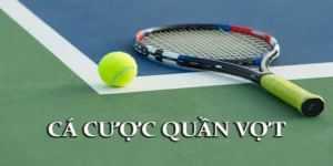 Bí Quyết Thành Công Cá Cược Quần Vợt Kubet Cho Người Chơi Mới