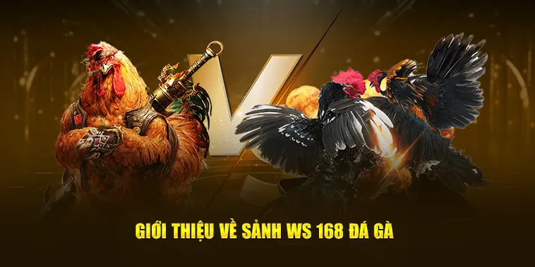 Cách Chơi Đá Gà WS168 Tại Kubet Để Thắng Lớn Năm 2025