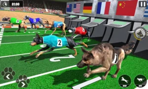 Bí Kíp Chinh Phục Game Nhanh Đua Chó Tại Kubet Thắng Đậm