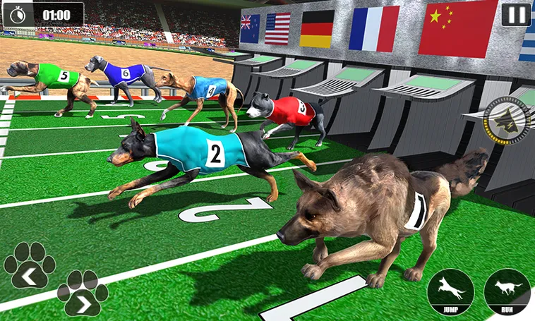 Bí Kíp Chinh Phục Game Nhanh Đua Chó Tại Kubet Thắng Đậm