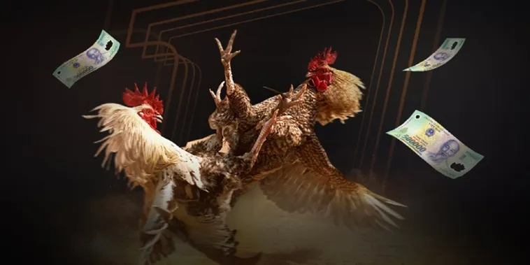 Hướng Dẫn Chi Tiết Chơi Đá Gà Sabong Tại Kubet Dễ Thắng Nhất