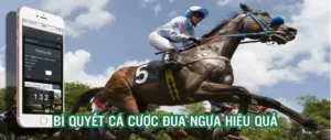 Bí Quyết Chiến Thắng Cá Cược Đua Ngựa Kubet Dành Cho Người Mới
