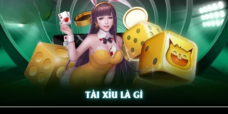 Hướng Dẫn Cách Chơi Tài Xỉu Nhà Cái Kubet Thắng Lớn Nhanh Chóng